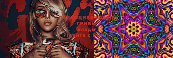 бошки Аркадак