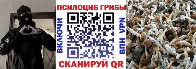 Псилоцибиновые грибы Magic Shrooms  где продают   Тюкалинск 